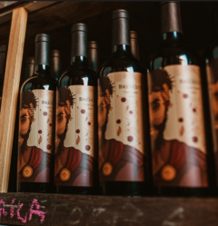 Bresesti - Linha Histórica Merlot/Tannat 750ml - comprar online