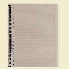 CUADERNO A5 - MODELO PAJARO en internet