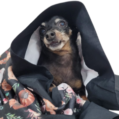 Manta Verão Pet Estampa Jardim dos Animais Vivi For Pets