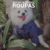 Banner de Vivi For Pets
