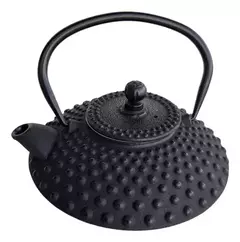 Tetera Hierro Fundido Pava Filtro Infusor Te Hebras X 500cc en internet