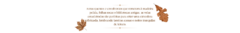 Banner da categoria amadeirado