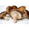 Cogumelo Shitake Inteiro - 01Kg