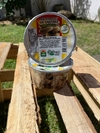 Antepasto de Shitake 200g