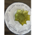 Prato de vidro da Turquia folha cor verde tamanho 21,5 x 21 cm - comprar online