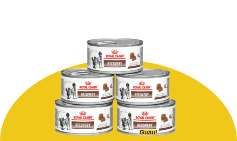 Royal Canin Veterinary Diet Canine Recovery Lata De 195 g