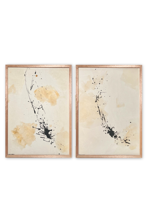 Dupla obras Nro 38 y 39