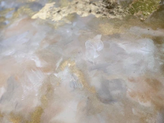 OBRA GOLD CLOUD. en internet