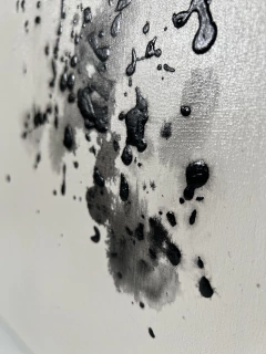 Dupla Nro. 651 y 652 en internet