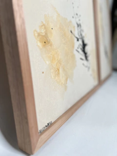 Dupla obras Nro 38 y 39 en internet