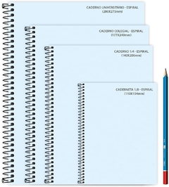 Caderno Argolado Fichário Mickey ¼ - Dac - comprar online