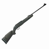 CARABINA GAMO BIG CAT 5.5MM