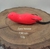 ISCA PROLINE ZARA MOUSE
