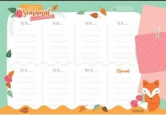  Bloco para planejamento semanal 30 Fls Raposinha