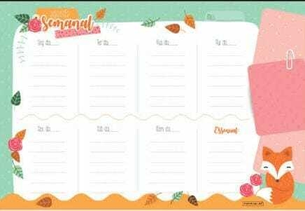  Bloco para planejamento semanal 30 Fls Raposinha