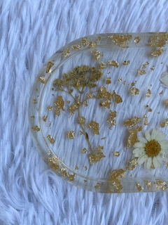 Bandeja Daisy na internet