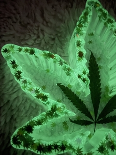 folha G fluorescente super - Zizi’shop