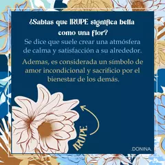 Yerbera IRUPE - Donina