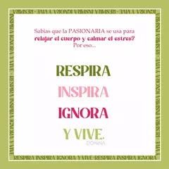 Yerbera CALMA - Donina
