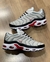 Nike Air Max TN Plus