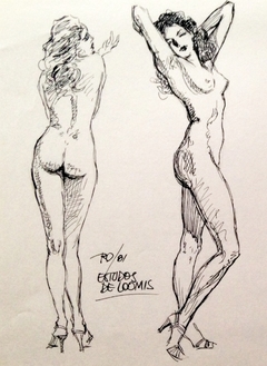 "Estudo de Loomis"