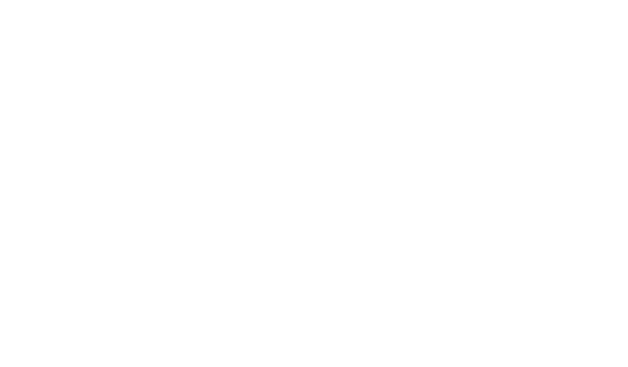 Livia Ribeiro Design e Papelaria