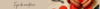 Banner CERÂMICA ARTE BRASIL
