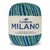 Imagem do Barbante Euroroma Milano 400g