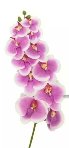 Vara orquidea premium - OUTLET DECO