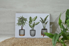 Cuadro para colgar plantas - (dos tamaños) en internet