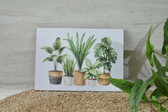Cuadro para colgar plantas - (dos tamaños) - comprar online