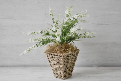 Lavanda blanca, canasta rattan