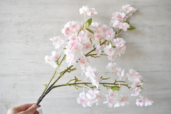 Ramo de flores rosadas