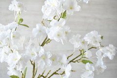 Ramo de flores blancas - comprar online