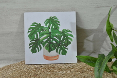Cuadro para colgar planta - 20 por 20 cm