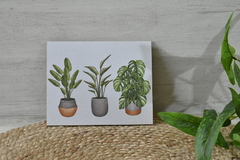 Cuadro para colgar plantas - (dos tamaños) - OUTLET DECO