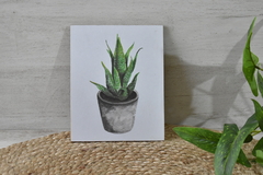 Cuadro para colgar Cactus- 20 por 16 cm