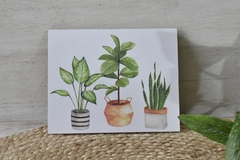 Cuadro para colgar plantas - (dos tamaños)
