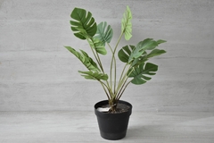 Monstera artificial