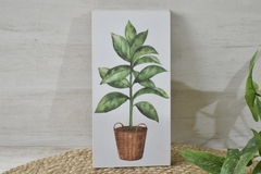 Cuadro para colgar plantas - 28 por 14 cm - comprar online