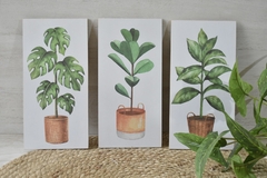 Cuadro para colgar plantas - 28 por 14 cm