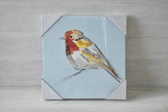Bastidores pintura pajaros en internet