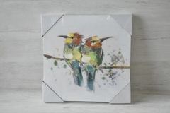 Bastidores pintura pajaros