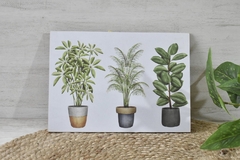 Cuadro para colgar plantas - (dos tamaños) - tienda online
