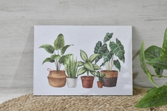 Cuadro para colgar plantas - (dos tamaños)