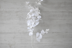 Vara eucalipto hoja blanca 95cm - comprar online