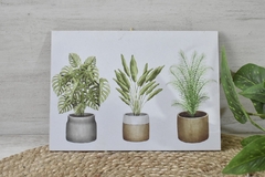 Imagen de Cuadro para colgar plantas - (dos tamaños)
