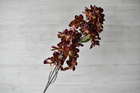 Vara hoja manzano bordo