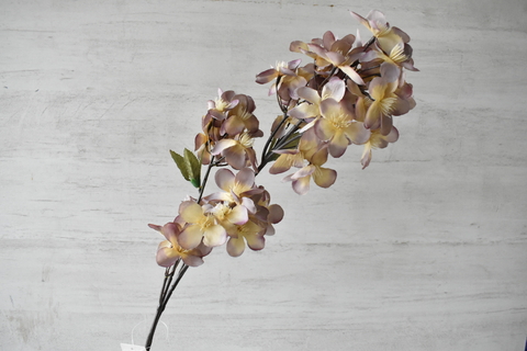 Vara hoja manzano beige/ violaceos