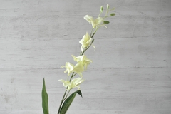 Vara de orquídea - comprar online